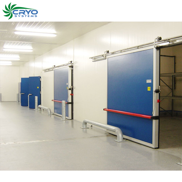 Цена на свежий картофель холодный склад свежий яблочный фрукт холодильная камера