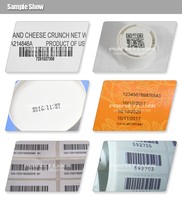Impresora de Inyección de Tinta Industrial CIJ para Fechas de Caducidad, Modelo PM-900, para Cajas de Embalaje
