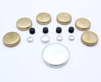 Kit de bouchons anti-gel en laiton pour Ford SBF 260 289 302 351W MPE-108BR PE-108R, PE108B VA1726