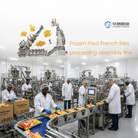 1000kg/uur snelvries productielijn voor frieten, aardappelchips en fruitverwerking, hoge efficiëntie, roestvrij staal, commercieel gebruik