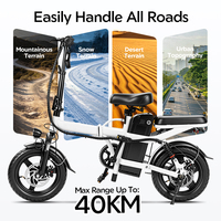 Minimoto Eléctrica de Estilo Vintage, Diseño para Dos Pasajeros, Uso Diario en el Hogar, Scooter Eléctrico con Motor sin Escobillas, Batería de Plomo-Ácido de 3 Velocidades
