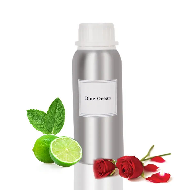 濃縮フレグランスオイルアロマエッセンシャルオイル香りディフューザーマシン用の人気ブランドの香水フレグランスオイル
