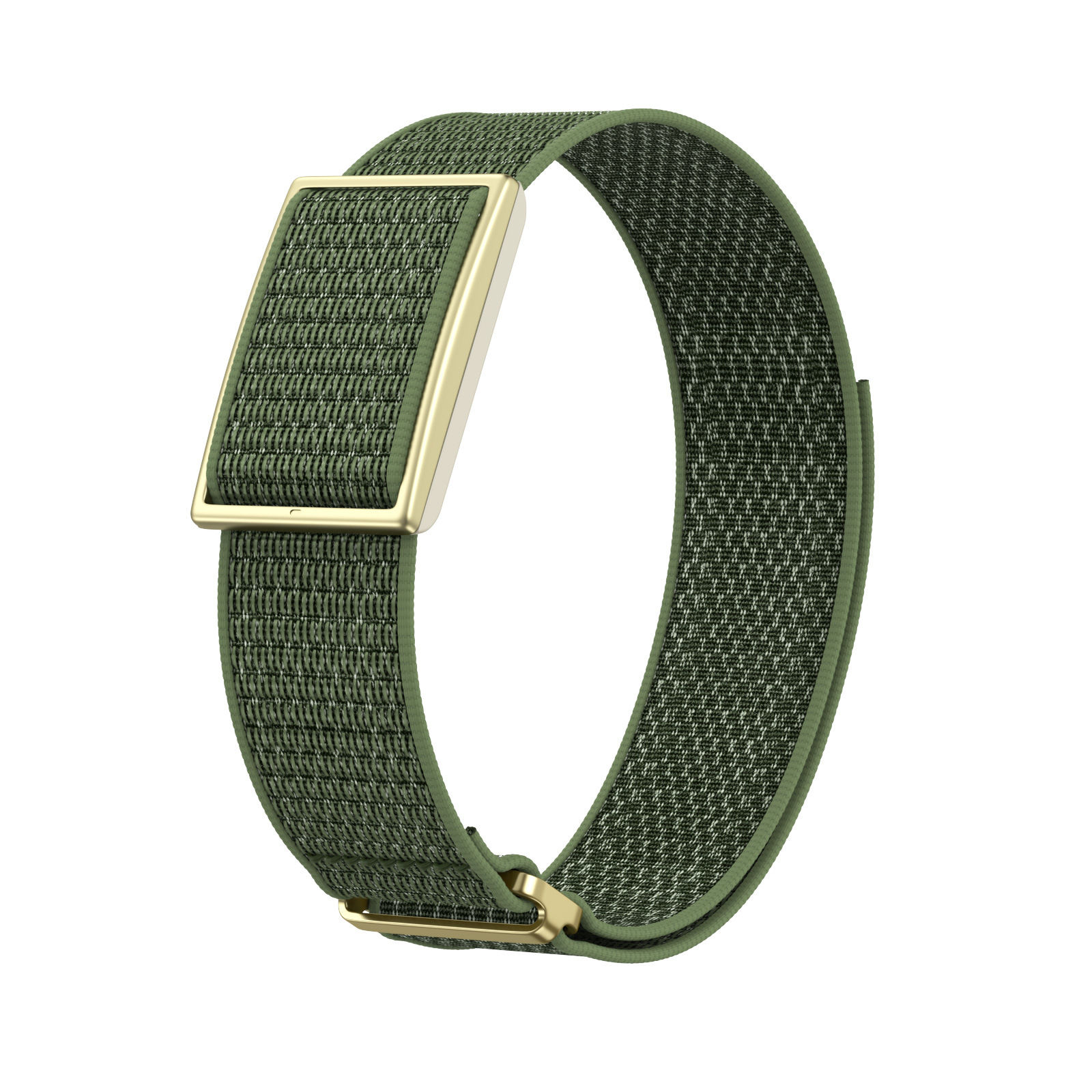 Vert - Boucle dorée