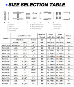 Prensaestopas de doble compresión IP66 25S M25 para Cable armourado en latón niquelado - Product Image 4