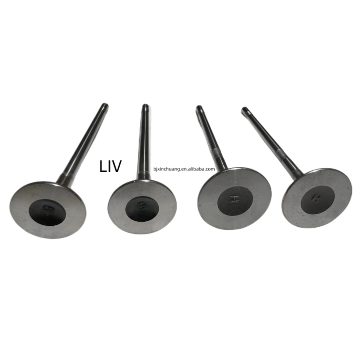 Automotive parts cylinder head/inlet valve/exhaust valve 1.0T LIV 