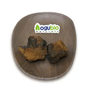 Aogubio Chaga bubuk ekstrak Jamur OEM label khusus kapsul ekstrak Jamur Chaga dan kapsul Chaga