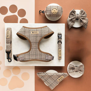 <span class=keywords><strong>Collar</strong></span> de perro personalizado transpirable para tienda de mascotas, superventas, con logotipo de marca, arnés de diseñador personalizado para cachorros, chaleco y accesorios de correa - Product Image 3