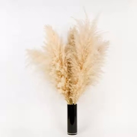 UKIQUEEN pernikahan Plume besar alami asli diawetkan rumput Pampas kering untuk dekorasi rumah
