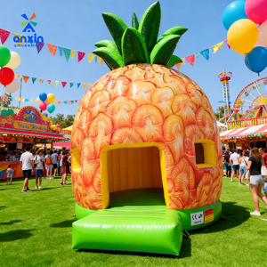 2026 château gonflable de rebond d'ananas de vente chaude créent des souvenirs inoubliables pour des enfants grands pour des événements de fêtes joie quotidienne - Product Image 1