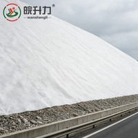 Géotextile non tissé en filament de polyester WSL pour le renforcement des talus routiers et la séparation des sols, drainage ferroviaire, fibres longues