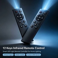 Control Remoto Inteligente con Luz LED e Infrarrojos JCXK de 12 Teclas, Plástico ABS, OEM, ODM, Personalizado