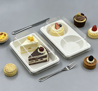 Plateau de base blanc et noir, mini-conteneur en plastique, boîte d'emballage jetable pour gâteau en tranches