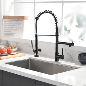 Robinet de cuisine thermostatique à tirette avec broche Robinet d'évier de cuisine à <span class=keywords><strong>double</strong></span> <span class=keywords><strong>sortie</strong></span> en laiton Robinets de cuisine en céramique contemporains Mélangeur - Product Image 2
