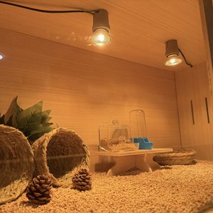 Large Wood Pet <b>House</b> for Hamsters Chickens <b>Rabbits</b> & Guinea Pigs-Eco-Friendly Two Doors Indoor/<b>Outdoor</b> Use - Product Image 4