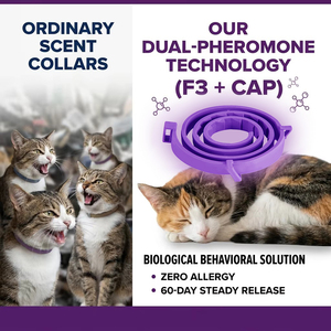 Colliers ajustables <span class=keywords><strong>CHANSON</strong></span> en polyester de 15 et 24,4 pouces avec phéromones pour animaux de compagnie, motif uni, livraison rapide, réduction de l'anxiété pour chats et chiens - Product Image 6