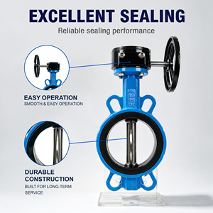 Válvula de gusano de alto rendimiento con asiento de goma de hierro fundido y vástago de acero inoxidable, accionada por engranaje helicoidal para sistemas de tuberías de HVAC y aguas residuales - Product Image 5
