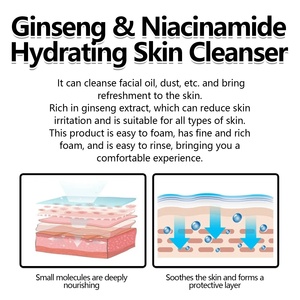 Groothandel Organische <span class=keywords><strong>Ginseng</strong></span> Niacinamide Vitamine E Anti-Aging Diepe Reiniging Verhelderende Huid Hydraterende Gezichtsreiniger - Product Image 3
