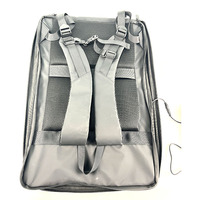 Venta caliente 13 15,4 21,5 pulgadas publicidad LCD mochila humana al aire libre caminar mochila Digital mochila con pantalla LCD
