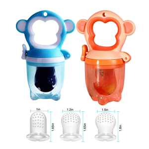 Sucette pour nouveau-né de 0 à 12 <span class=keywords><strong>mois</strong></span>, design cartoon, en PP et silicone, avec poignée, pour fruits frais, tétine d'alimentation, apaisant - Product Image 1