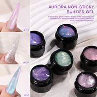 Kit d'extension de gel UV solide à tremper en gros, 12 couleurs, sans HEMA, vernis à ongles en gel, logo personnalisé DIY