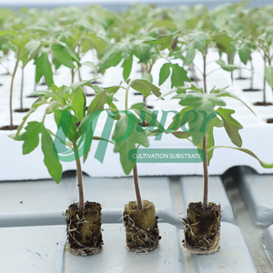 Khay ươm giống bằng đá khoáng trồng thủy canh nhà kính nông nghiệp UPuper - Product Image 5