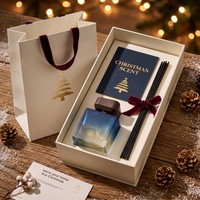 Bouteilles de diffuseur à roseaux de luxe de 100 ml, transparentes, avec revêtement, pour aromathérapie, parfum d'ambiance, avec bouchon en liège, pour décoration intérieure, avec emballage