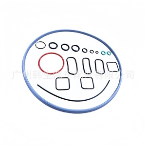 Jeu d'anneaux d'étanchéité pour réparation de moteur électrique Tesla, pièces de rechange en plastique - Product Image 2