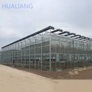 Luxus landwirtschaft lichen Multi-Span Venlo Glas Garten Blumen gemüse Gewächshaus mit Hydro ponik holländischen Eimer