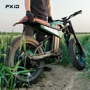 PXID 2024 New Model P6 Fat Tire E-bike 20AH 35AH Lithium Battery Electric Mountain Bike