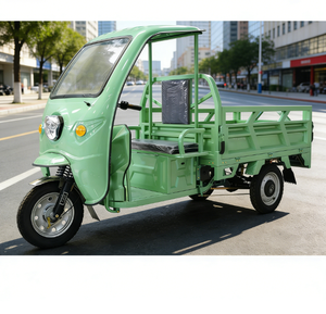 Triciclo Eléctrico de Carga de 2000W, el Más Vendido, para Uso Familiar, Duradero, de Alta Eficiencia y con Capacidad de 2 Toneladas - Product Image 4