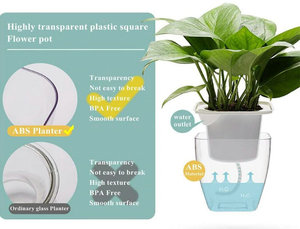 Macetero automático de plástico transparente, maceta de flores cuadrada, para todas las plantas suculentas, hierbas, violetas <span class=keywords><strong>africanas</strong></span> - Product Image 6