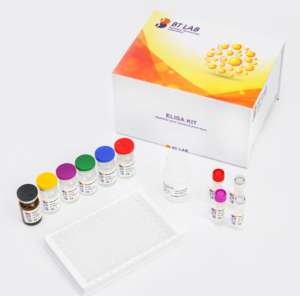 E0090Hu Human Interleukin 6 (IL-6) ELISA KIT Hochwertige Chemikalien für eine effektive Analyse - Product Image 6
