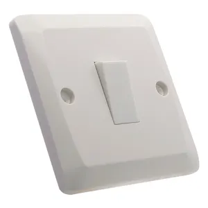 BS standard 1gang 1way wall switch electric switch