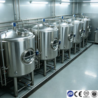 Cuve de Fermentation Submergée 200L en Acier Inoxydable 304 de Qualité Sanitaire ISO 9001