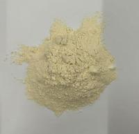 100g de poudre de marinade pour ailes rôties à la nouvelle-orkanaise, poudre de marinade pour poulet frit, assaisonnement pour épices alimentaires