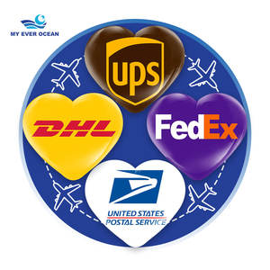 에버 오션 견적 비용 배달 속도 빠른 Ddp 도어 도어 에어 익스프레스 택배 배송 에이전트 미국 미국 캐나다 - Product Image 1