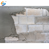 Peinture d'étanchéité polymère pour fissures de murs en béton humide, réparation des fuites d'eau, revêtement imperméable à pression négative pour surfaces.