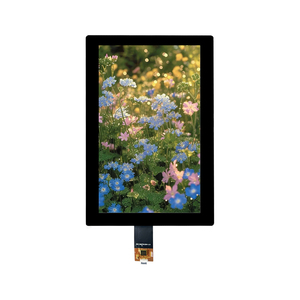 <span class=keywords><strong>8</strong></span> <span class=keywords><strong>inch</strong></span> <span class=keywords><strong>TFT</strong></span> hiển thị bảng điều khiển 800x1280 Độ phân giải LCD màn hình cảm ứng 40-Pin mipi giao diện 350cd/M2 gt911 IC <span class=keywords><strong>TFT</strong></span> LCD module với CTP - Product Image 4