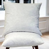 Coussin décoratif en plumes de canard grises douces de luxe, pour canapé et lit