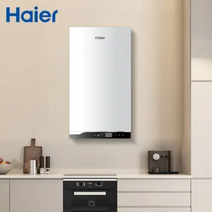 Haier Chaudière à vapeur à condensation à gaz à bas prix en acier inoxydable murale au design moderne