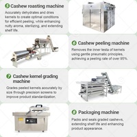 Ligne de production complète de traitement des noix de cajou en Chine, tri, récolte, traitement des noix, machine à décortiquer