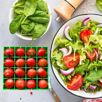 Nieuwe Product Ideeën Snijder Keuken 16-delige Druiven Kersentomaten Saladesnijder Snijder voor halve of kwart snijden 16 stuks tegelijk