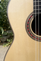 Guitare Friederich de niveau maître fabriquée à la main par Aiersi