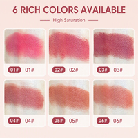 Gloss à lèvres velours Fab Mist intégré, teinte double usage lèvres et joues, pour distribution mondiale à niveaux et exportation mondiale