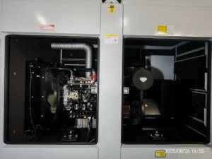 Motor Perkins 1106A-70TAG3, Fuente de Alimentación 200 kVA, Grupo Electrógeno de 160 kW, 50 Hz, Disponible en Foshan, Guangzhou, Envío Inmediato - Product Image 5