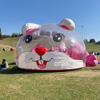 Maison gonflable transparente Palais de cristal gonflable pour enfants Centre commercial Lapin rose aire de jeux intérieure