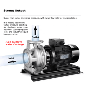 مضخة مياه كيميائية بالطرد المركزي أحادية المرحلة كهربائية أفقية من مرحلة واحدة - Product Image 3