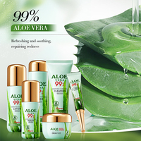 Ensemble de soins de la peau du visage anti-âge, éclaircissant et hydratant à base d'aloe vera, d'acide hyaluronique, de vitamine C et de rétinol, à base de plantes, pour tous les types de peau