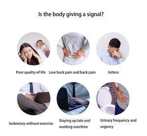 OEM/ODM женьшень мака тоник травяной Мужской Силовой энергии мужской чай для плодородия для сексуальной активности - Product Image 6