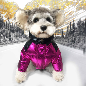 Invierno cálido mascota perro abajo chaqueta de marca de lujo cachorro chaqueta bulldog francés diseñador ropa para perros Venta al por mayor dropshipping - Product Image 2